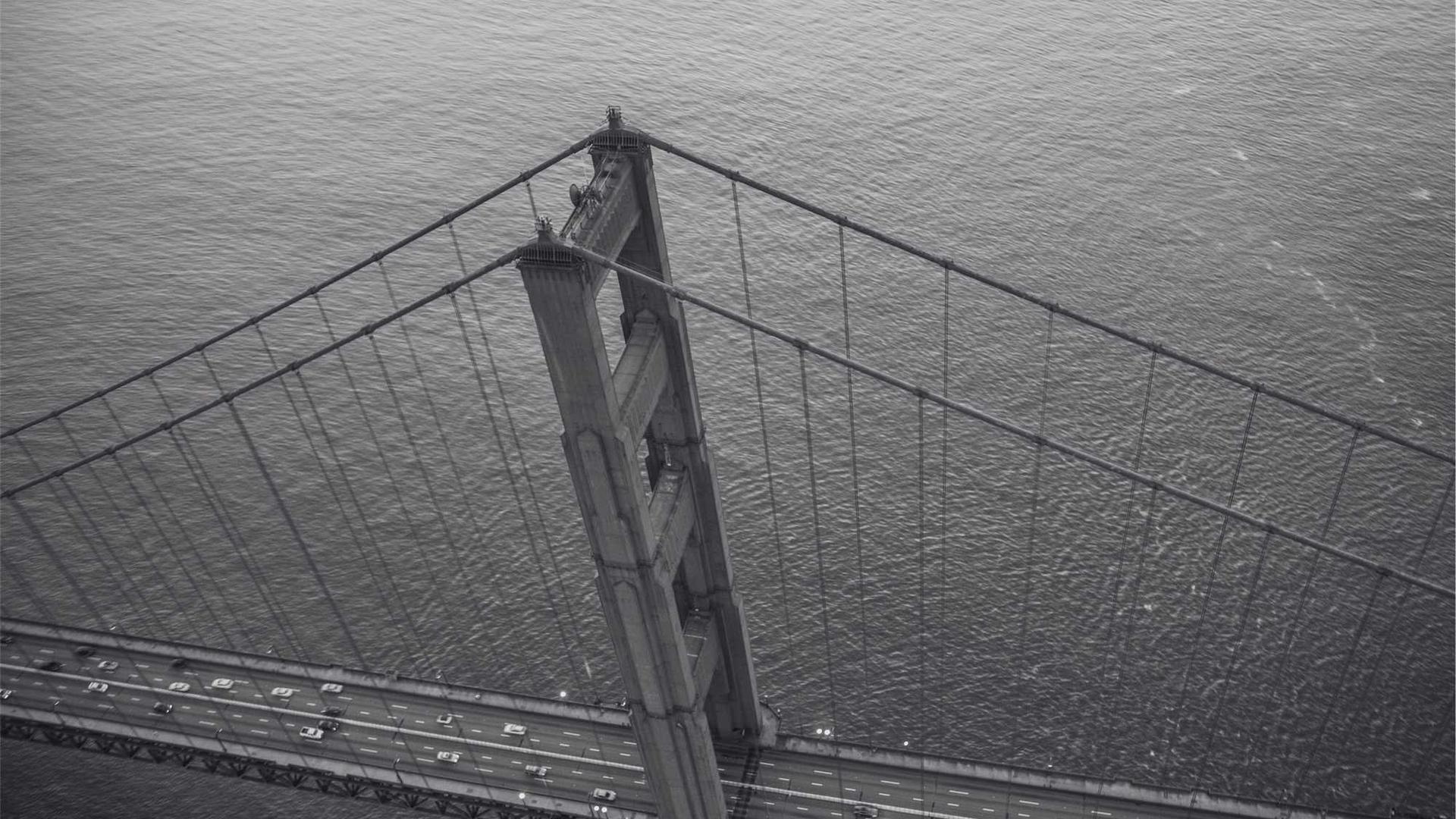 人们使用手机赚钱的场景